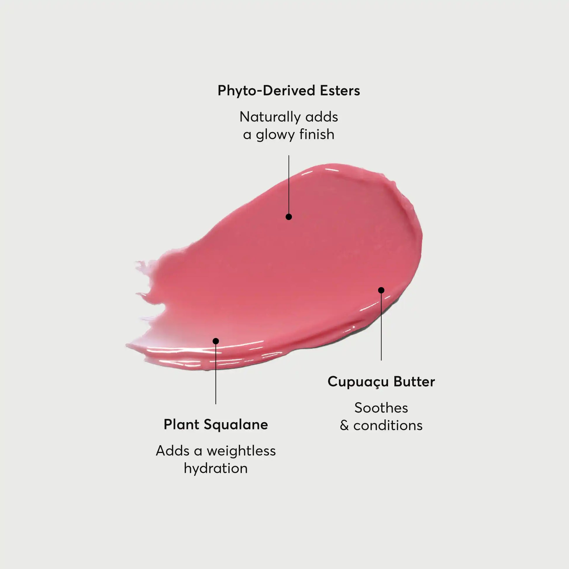 phyto-glow-lip-balm-petal-n3 NATR-60067-Alt-Images-Phyto-Glow-Lip-Balm-Petal-01.webp